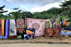 20240310_162408