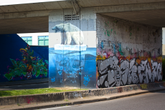 IMG_4462.CR2_