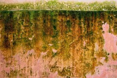 Immagine3